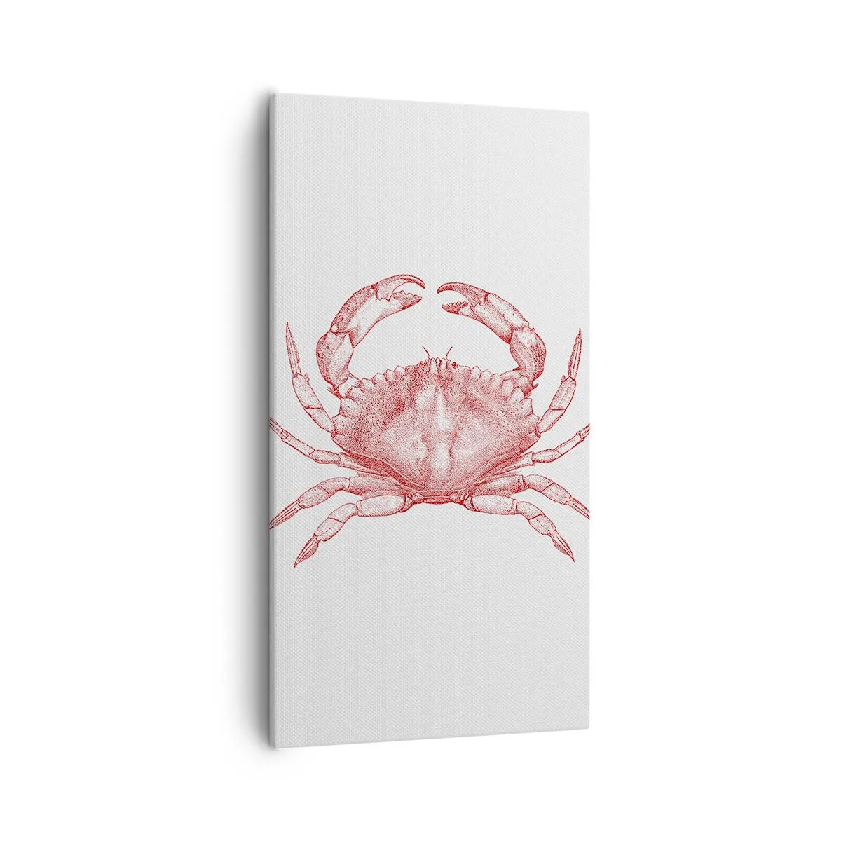 Obraz na płótnie - Krab nad kraby - 55x100 cm
