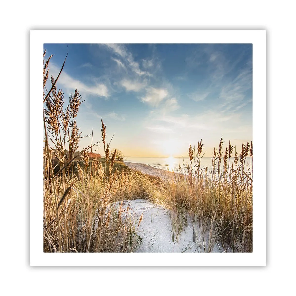 Plakat - Północna plaża - 60x60 cm
