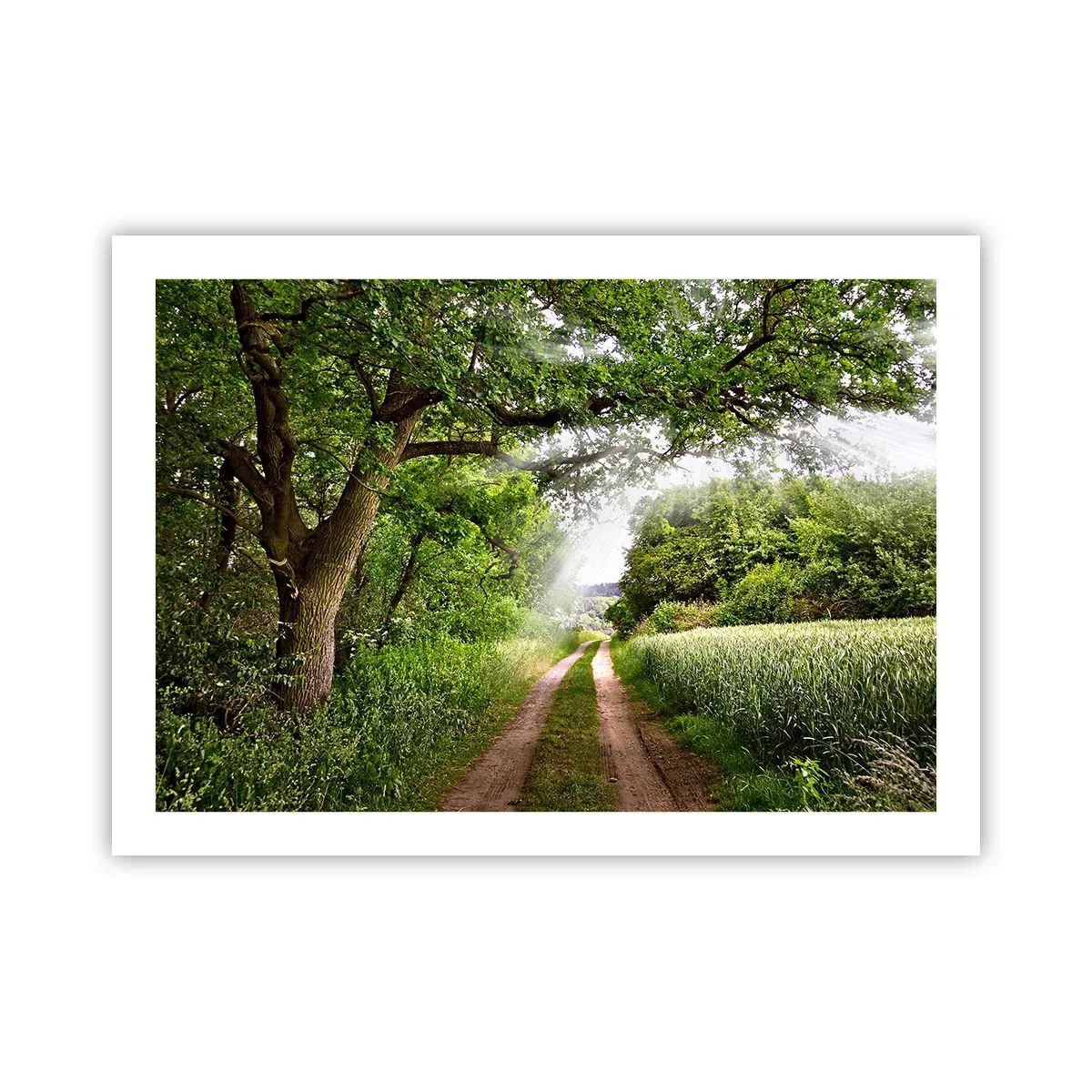 Plakat - Et in Arcadia ego - 70x50 cm
