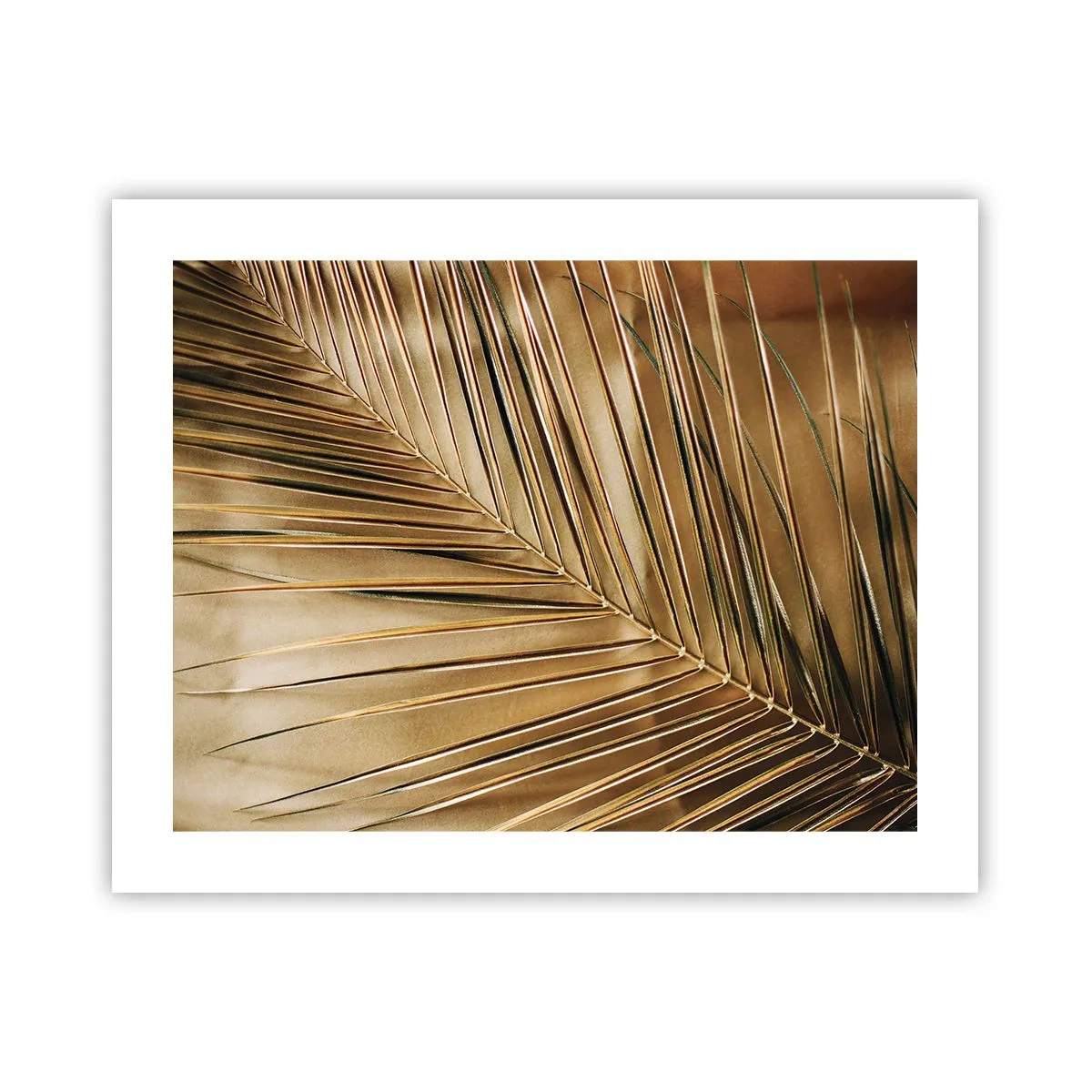 Plakat - Naturalna kolumnada - 50x40 cm