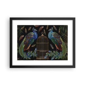 Plakat w czarnej ramie - W królewskich szatach - 40x30 cm