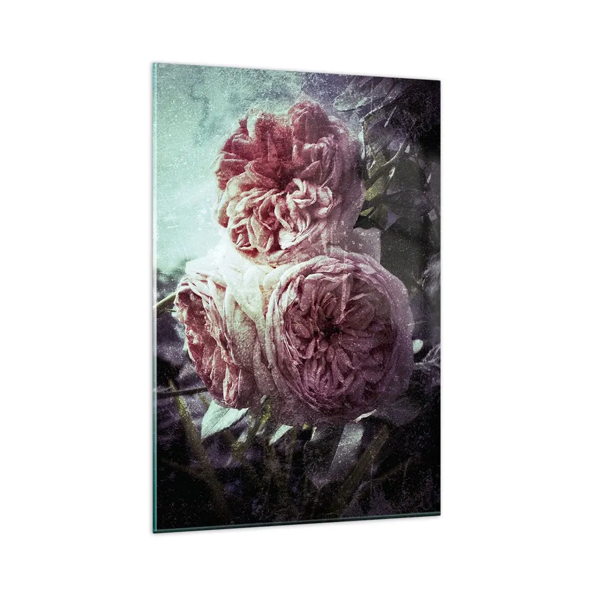 Obraz na szkle - Delikatne różowe róże w stylu vintage na ciemnym tle - 80x120cm - W romantycznym klimacie - Nowoczesna dekoracja ścienna do salonu i sypialni ARTTOR