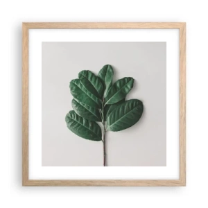 Plakat w ramie jasny dąb - Rysunek samej natury - 40x40 cm
