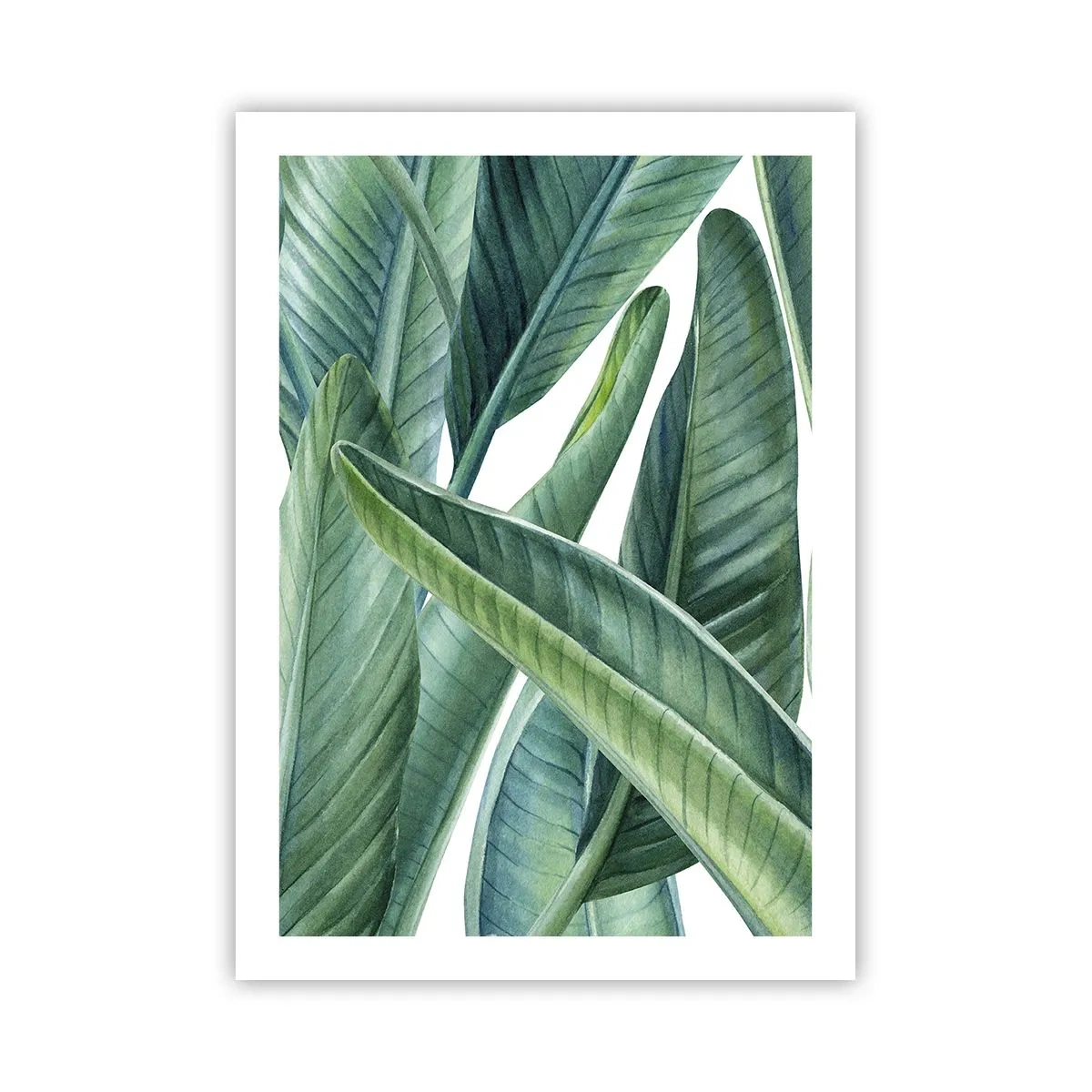 Plakat - Zielone liście bananowca w akwarelowym stylu - 50x70cm - Zieleń sama w sobie - Nowoczesna dekoracja ścienna do salonu, kuchni i sypialni ARTTOR