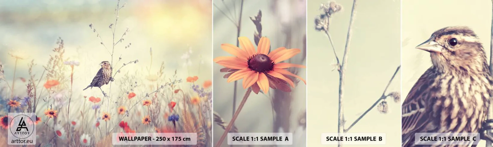 Fototapeta Próbka Samoprzylepna Deluxe Sticker - Ptasi portret z łąką w tle - Ptak, Łąka, Natura - 100x30 cm