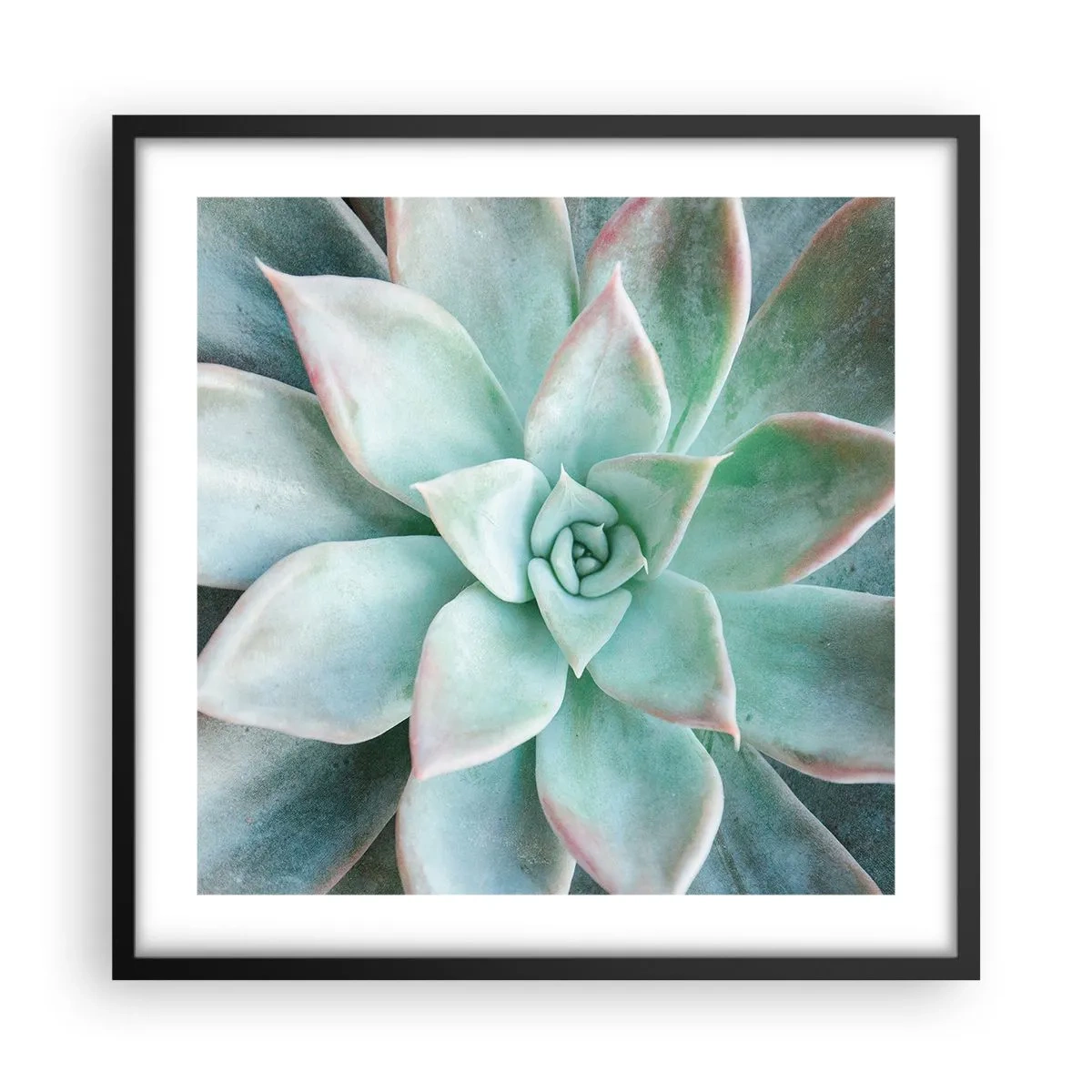 Plakat w czarnej ramie - Serce pustyni - 50x50 cm