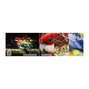 Fototapeta Próbka Premium Canvas - Posłaniec blasku - Abstrakcja, Papuga, Ptak - 100x30 cm