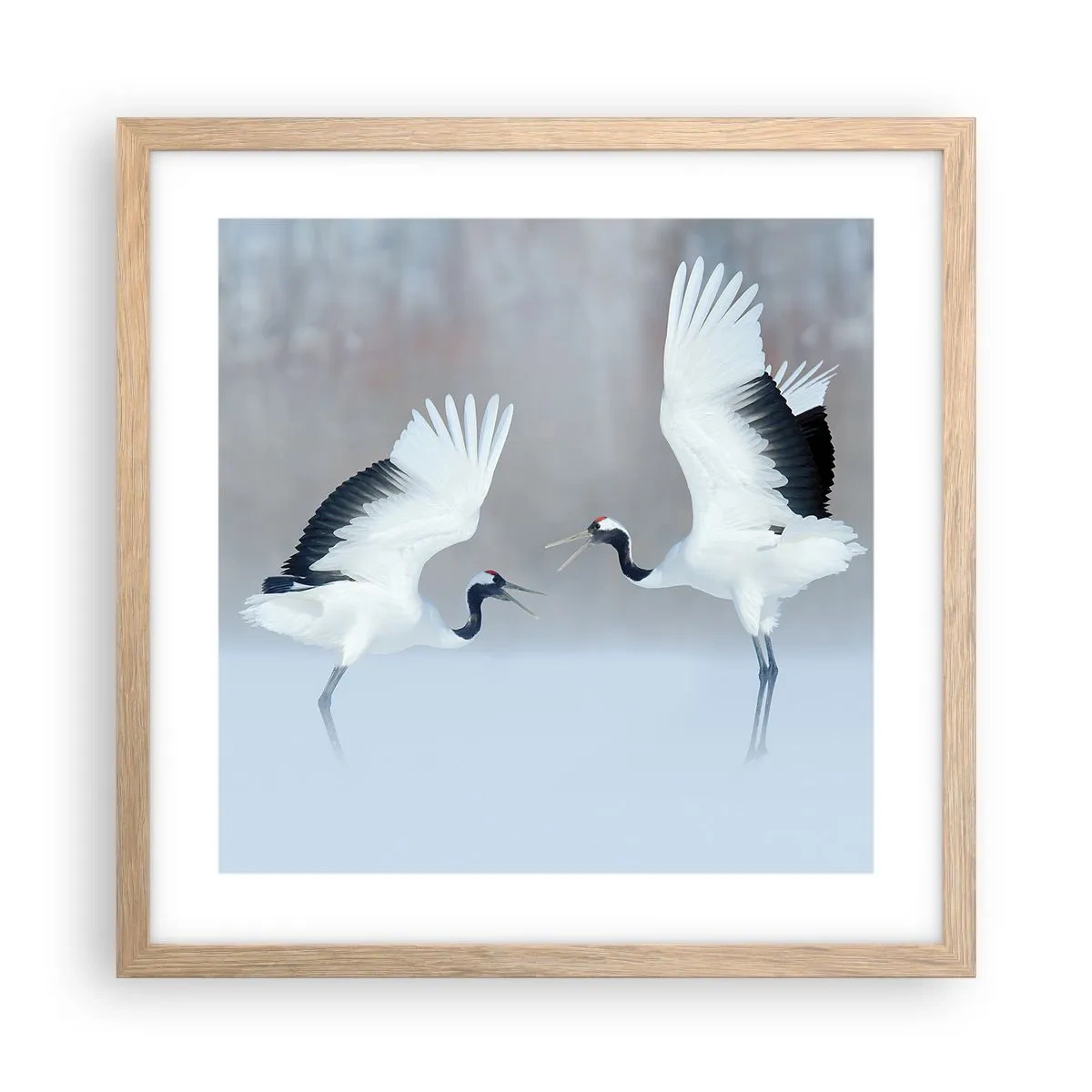 Plakat w ramie jasny dąb - Taniec we mgle - 40x40 cm