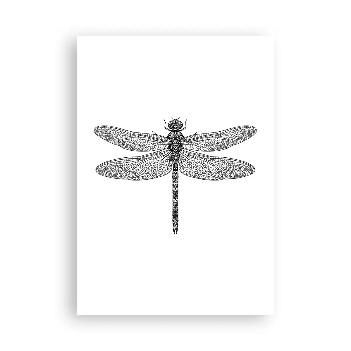 Plakat - Precyzja natury - 70x100 cm