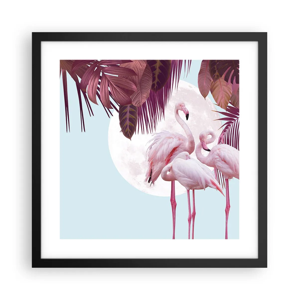 Plakat w czarnej ramie - Trzy ptasie gracje - 40x40 cm