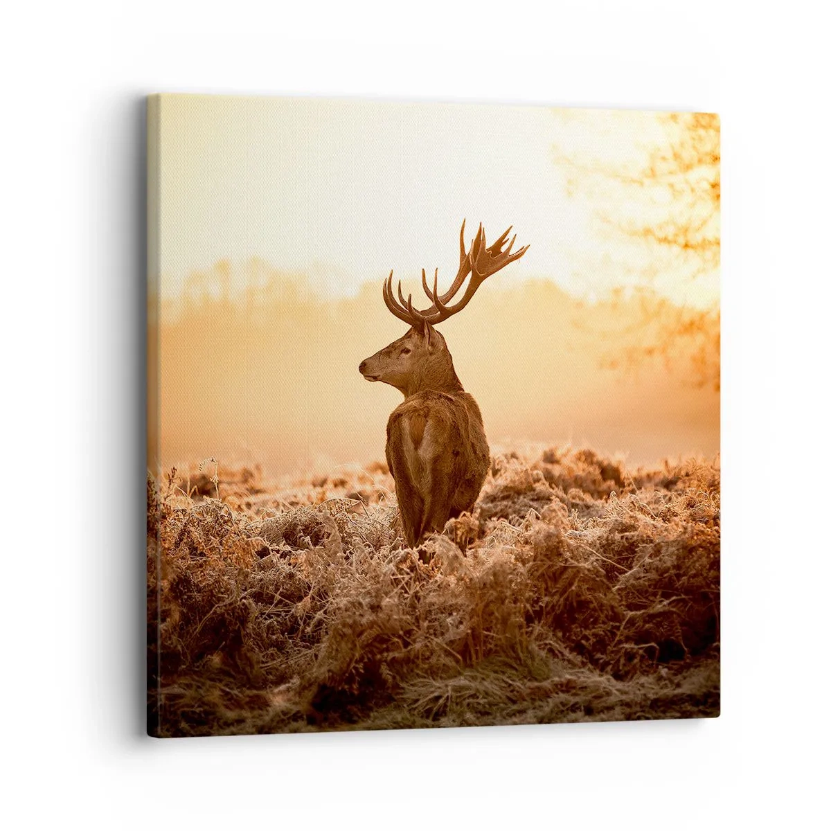 Obraz na płótnie - Pan na włościach - 30x30 cm