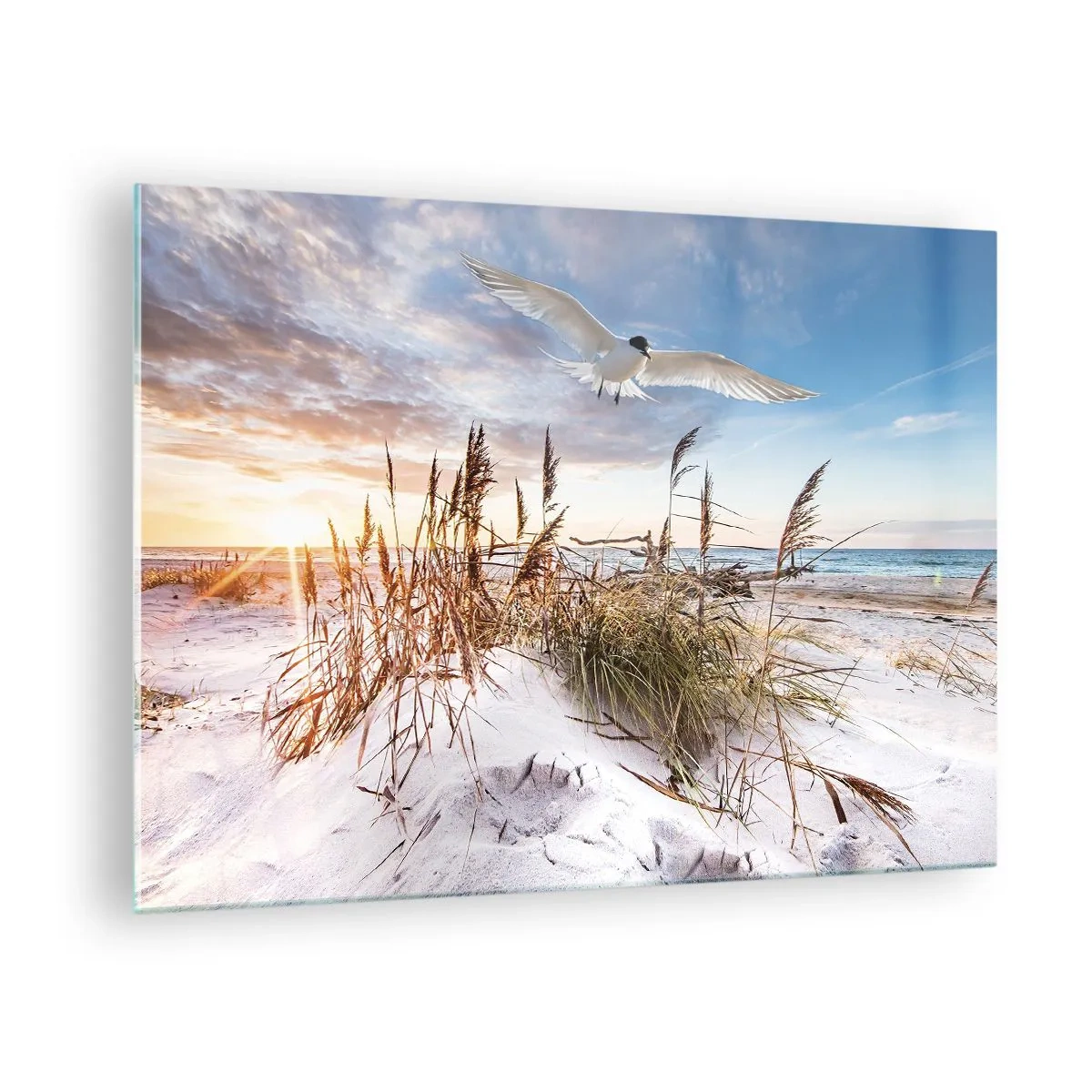 Obraz na szkle - Ptak lecący nad wydmami o zachodzie słońca - 70x50cm - Wiatr od morza - Nowoczesna dekoracja ścienna do salonu i sypialni ARTTOR