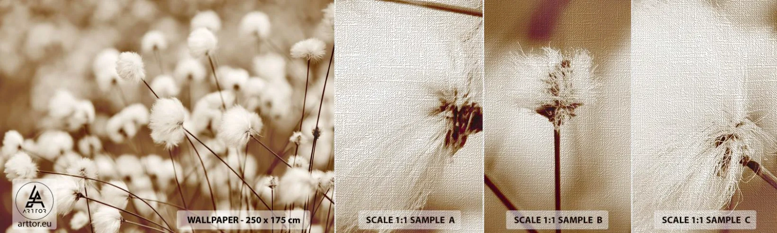 Fototapeta Próbka Premium Canvas - Puszysty łan - Kwiat Bawełny, Kwiat, Gałązka Bawełny - 100x30 cm