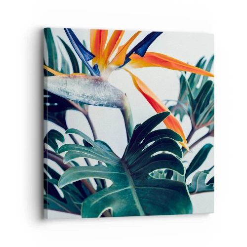 Obraz na płótnie - Ptakokrzak - 30x30 cm