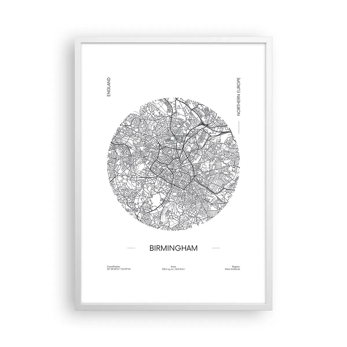 Plakat w białej ramie - Anatomia Birmingham - 50x70 cm