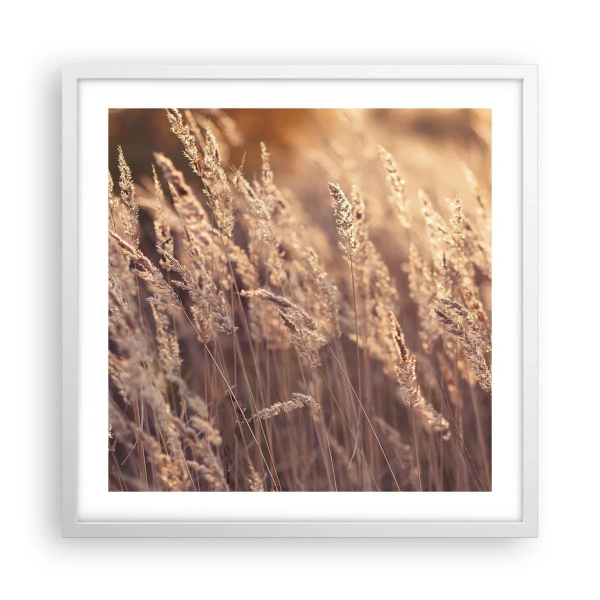 Plakat w białej ramie - Gotowe na powitanie jesieni - 50x50 cm