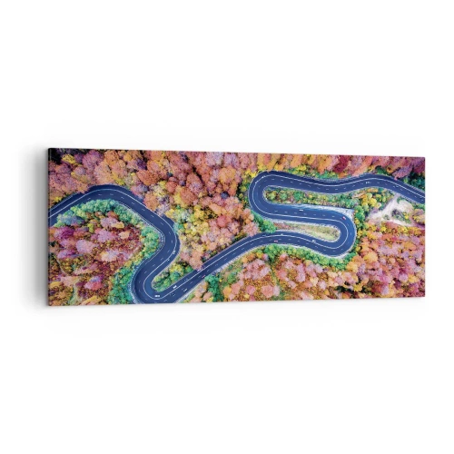 Obraz na płótnie - Kręta droga w jesiennym lesie widziana z lotu ptaka - 140x50cm - Krętą drogą poprzez las - Nowoczesna dekoracja ścienna do salonu i sypialni ARTTOR