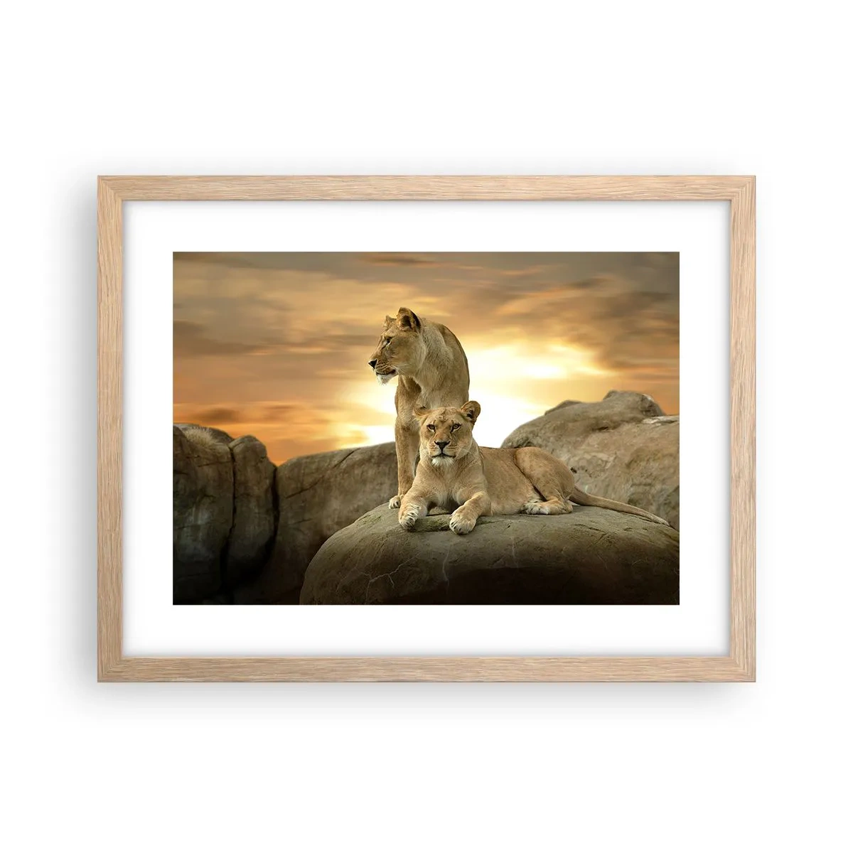 Plakat w ramie jasny dąb - Królewski majestat - 40x30 cm