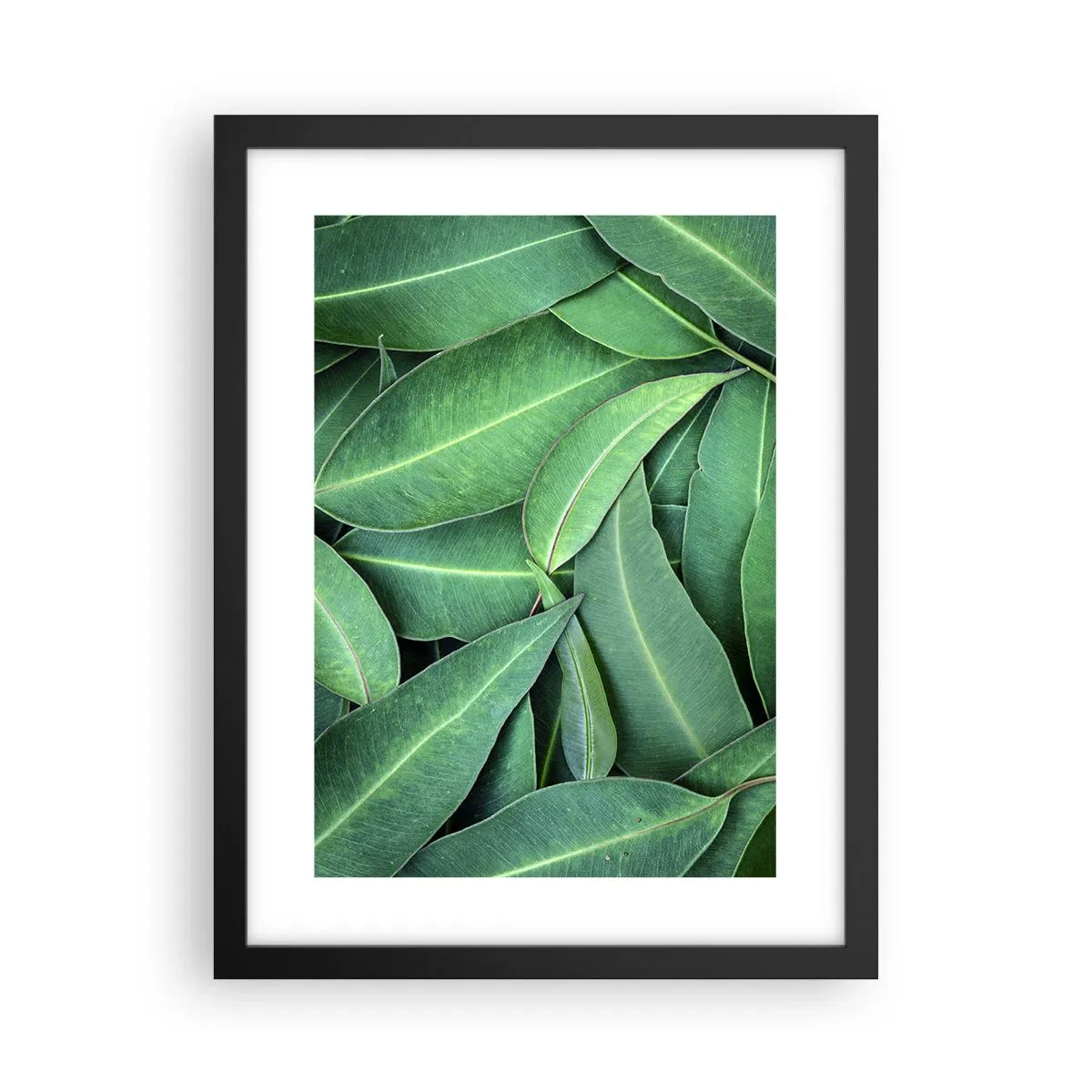 Plakat w czarnej ramie - Soczyste i świeże - 30x40 cm