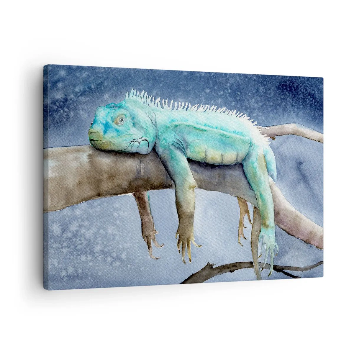 Obraz na płótnie - Błękitna iguana odpoczywająca na gałęzi - 70x50cm - Jest dobrze! - Nowoczesna dekoracja ścienna do salonu i sypialni ARTTOR