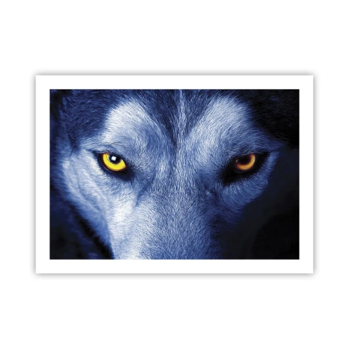 Plakat - Hipnotyzujące spojrzenie - 70x50 cm