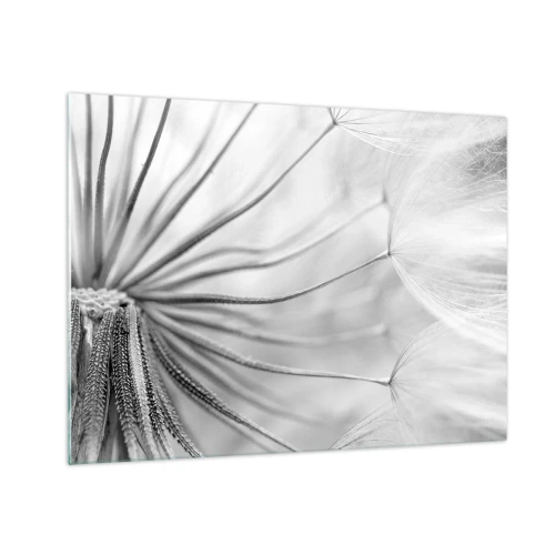 Obraz na szkle - Makrofotografia dmuchawca w odcieniach czerni i bieli - 70x50cm - Dmuchawce, latawce - Nowoczesna dekoracja ścienna do salonu i sypialni ARTTOR