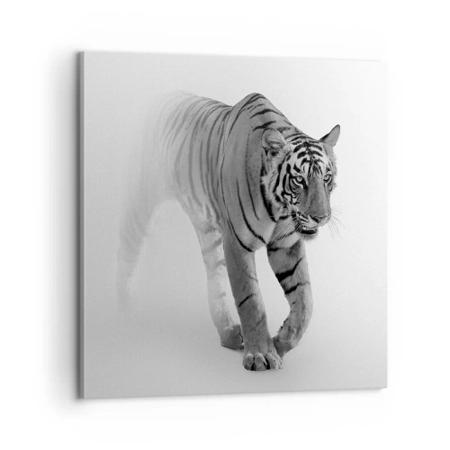 Obraz na płótnie - Przyczajony we mgle - 60x60 cm