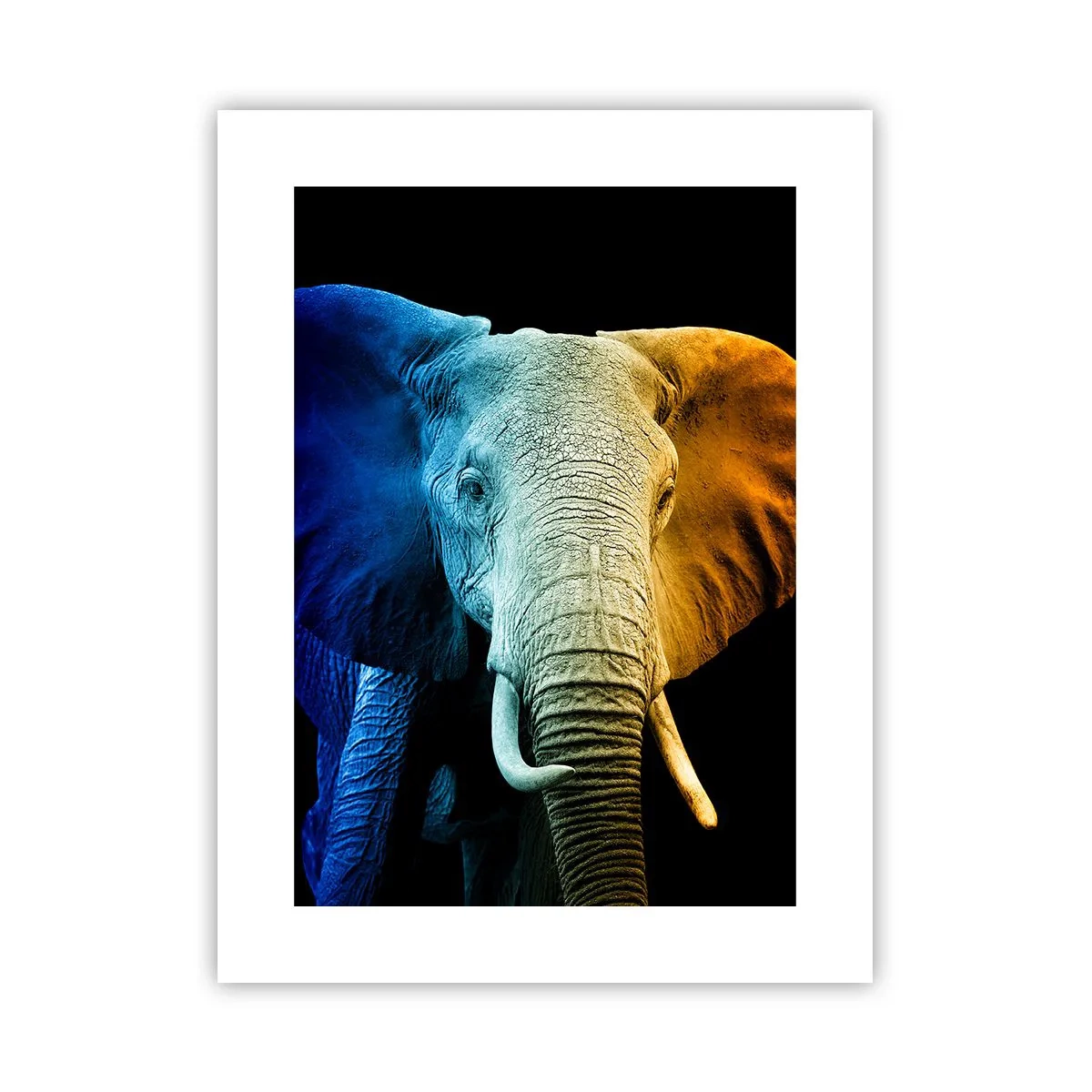 Plakat - Ekscentryk, nie dziwak - 30x40 cm