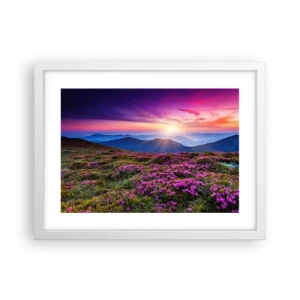 Plakat w białej ramie - Ziół zapachniały świeże pęki od niw - 40x30 cm
