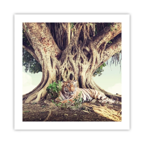 Plakat - Widok z Księgi Rodzaju - 50x50 cm