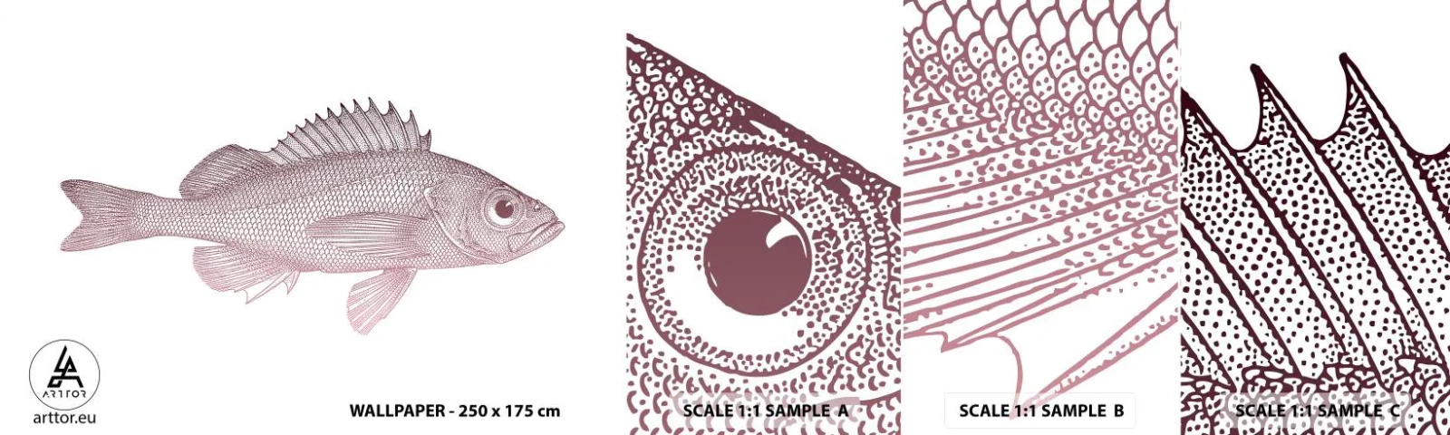 Fototapeta Próbka Samoprzylepna Deluxe Sticker - Ryba wielkooka - Ryba, Podwodny, Minimalistyczny - 100x30 cm