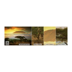 Fototapeta Próbka Premium Canvas - Sen podróżnika - Krajobraz, Góra Kilimandżaro, Afryka - 100x30 cm