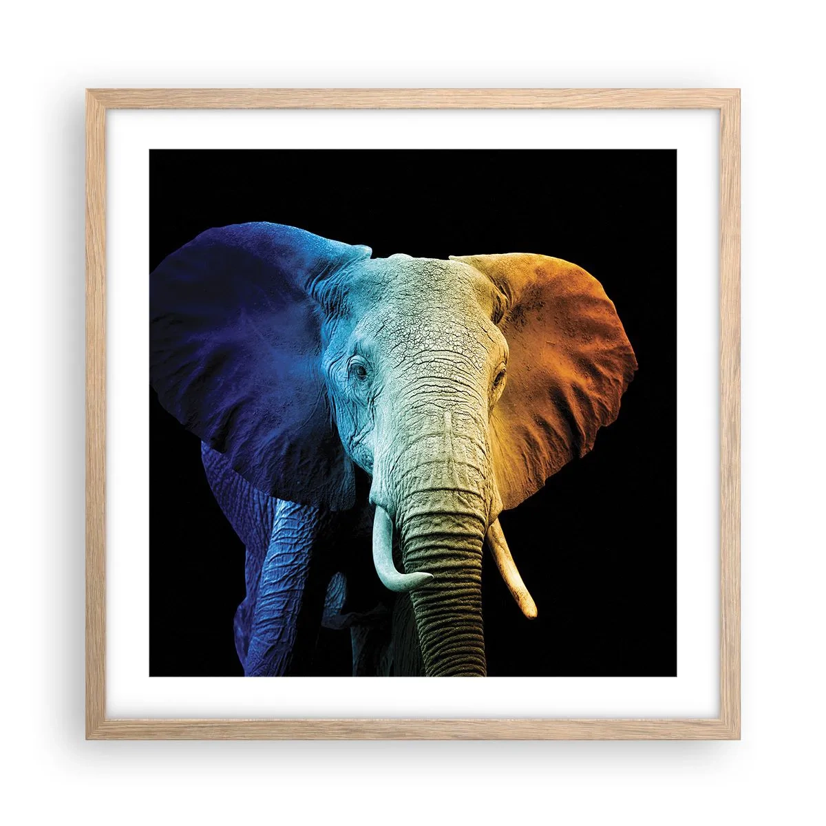 Plakat w ramie jasny dąb - Ekscentryk, nie dziwak - 50x50 cm