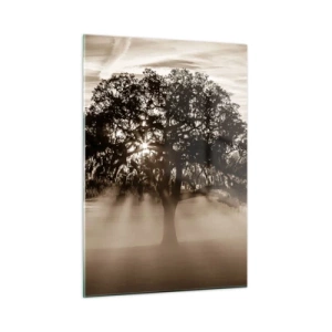 Obraz na szkle - Drzewo w porannej mgle z promieniami słońca przebijającymi przez gałęzie - 50x70cm - Drzewo wiadomości samego dobrego - Nowoczesna dekoracja ścienna do salonu, kuchni i sypialni ARTTOR