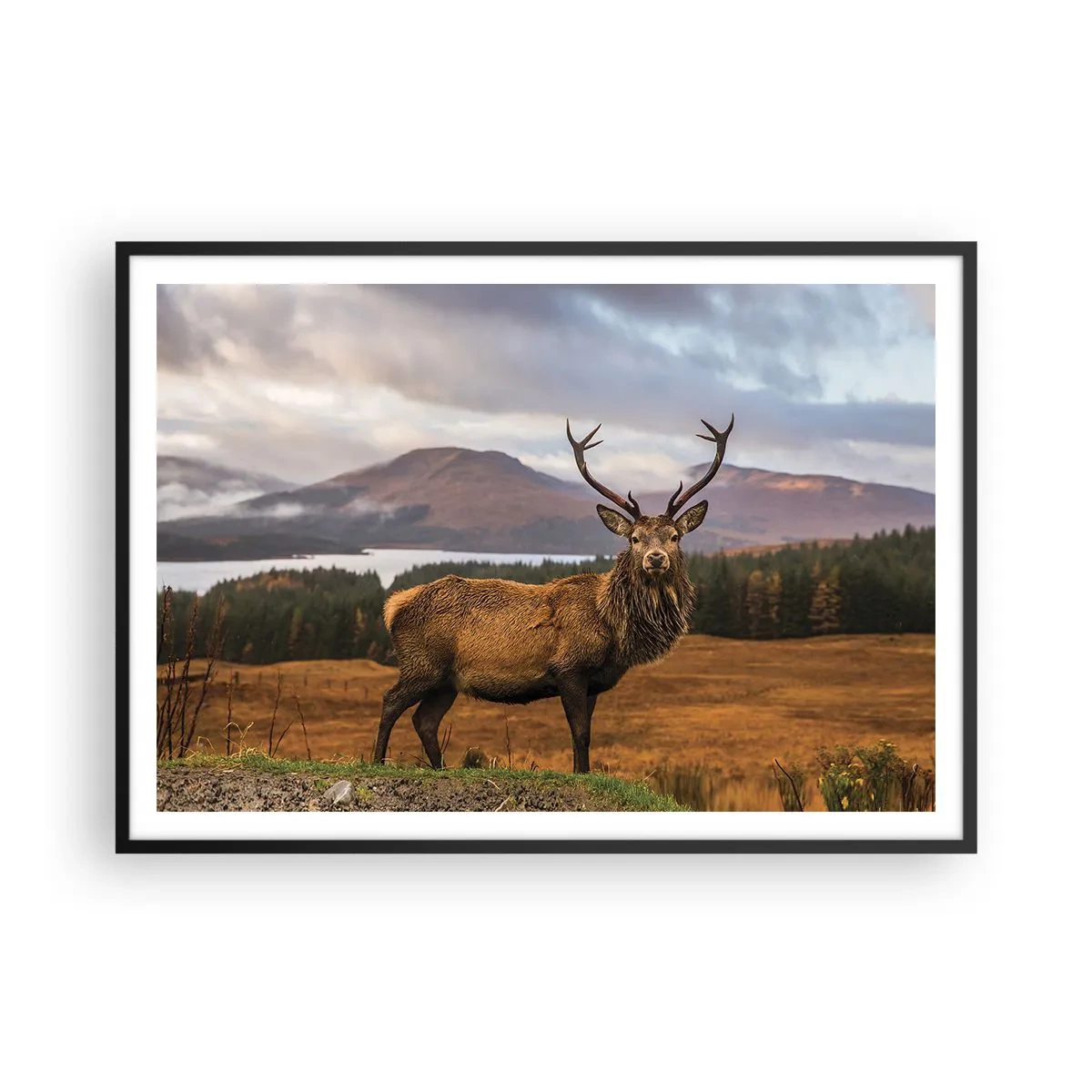 Plakat w czarnej ramie - Jeleń na tle górskiego krajobrazu z jeziorami i lasem - 100x70cm - Majestat natury - Nowoczesna dekoracja ścienna do salonu i sypialni ARTTOR