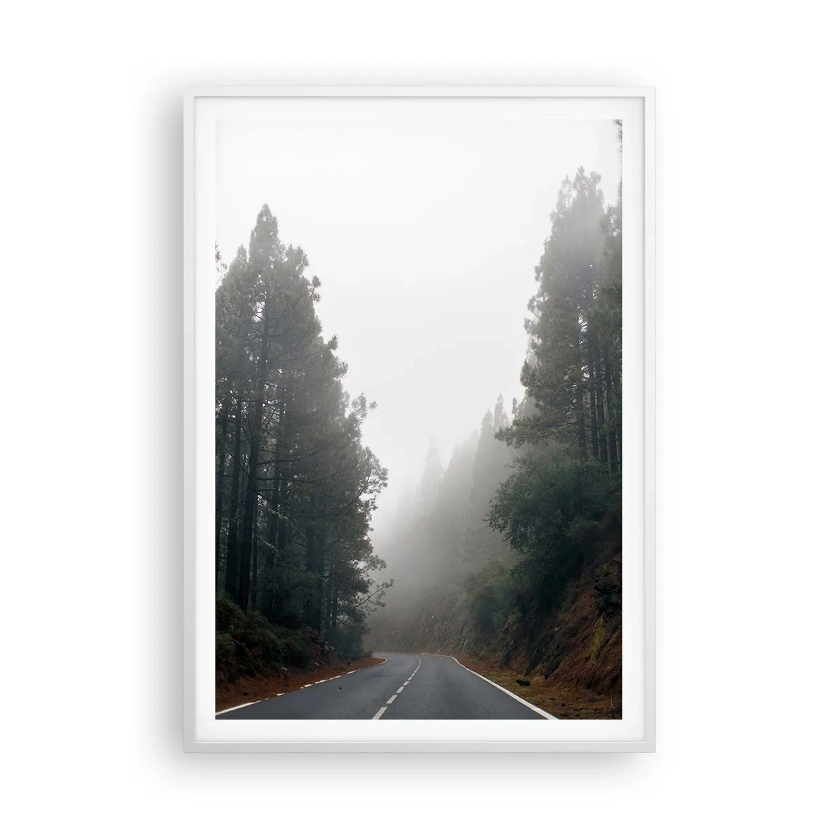 Plakat w białej ramie - Opowieść magicznego lasu - 70x100 cm