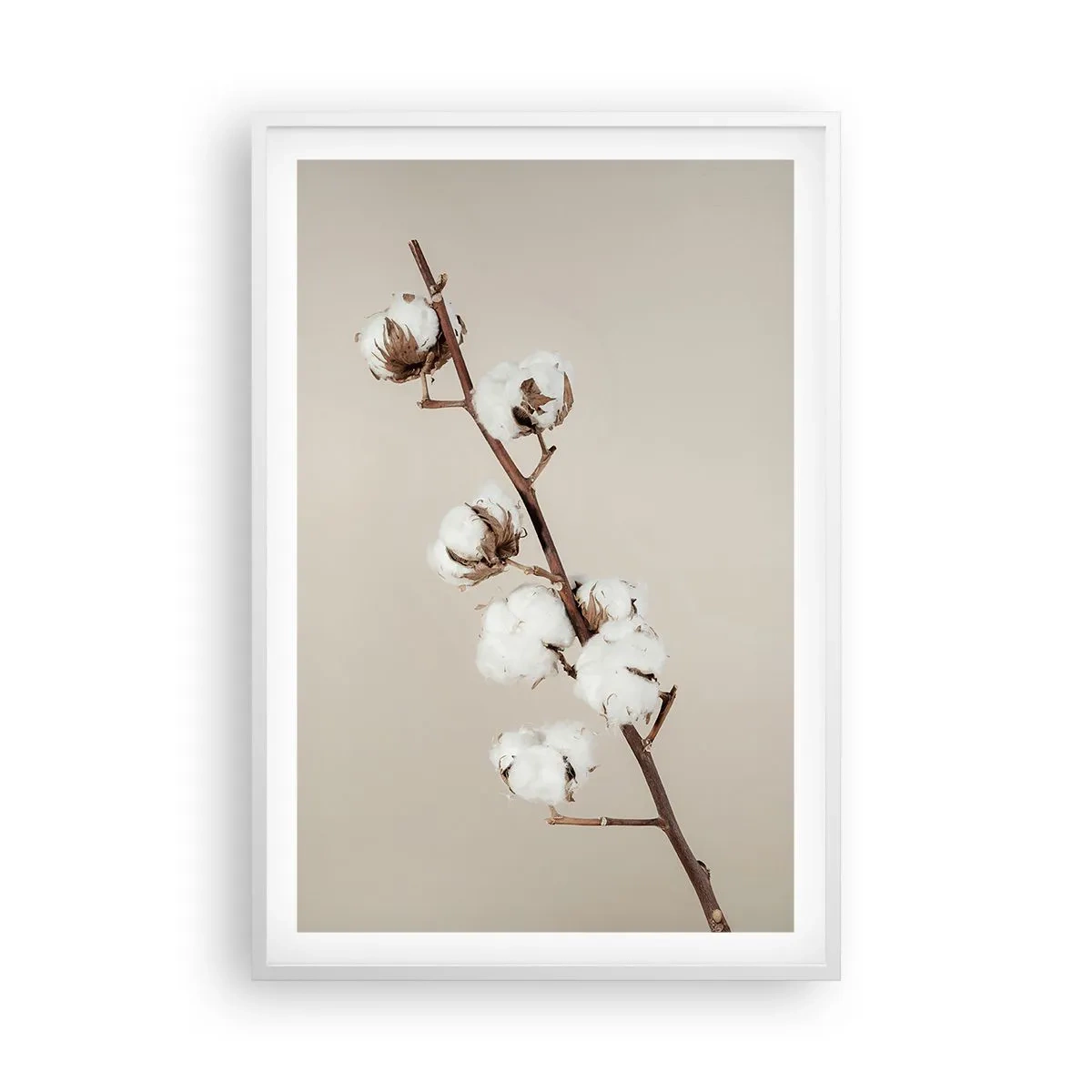 Plakat w białej ramie - U źródła miękkości - 61x91 cm