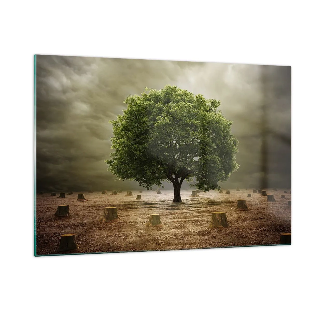 Obraz na szkle - Zielone drzewo otoczone pniami na tle ponurego nieba - 120x80cm - Cała nadzieja - Nowoczesna dekoracja ścienna do salonu, kuchni i sypialni ARTTOR