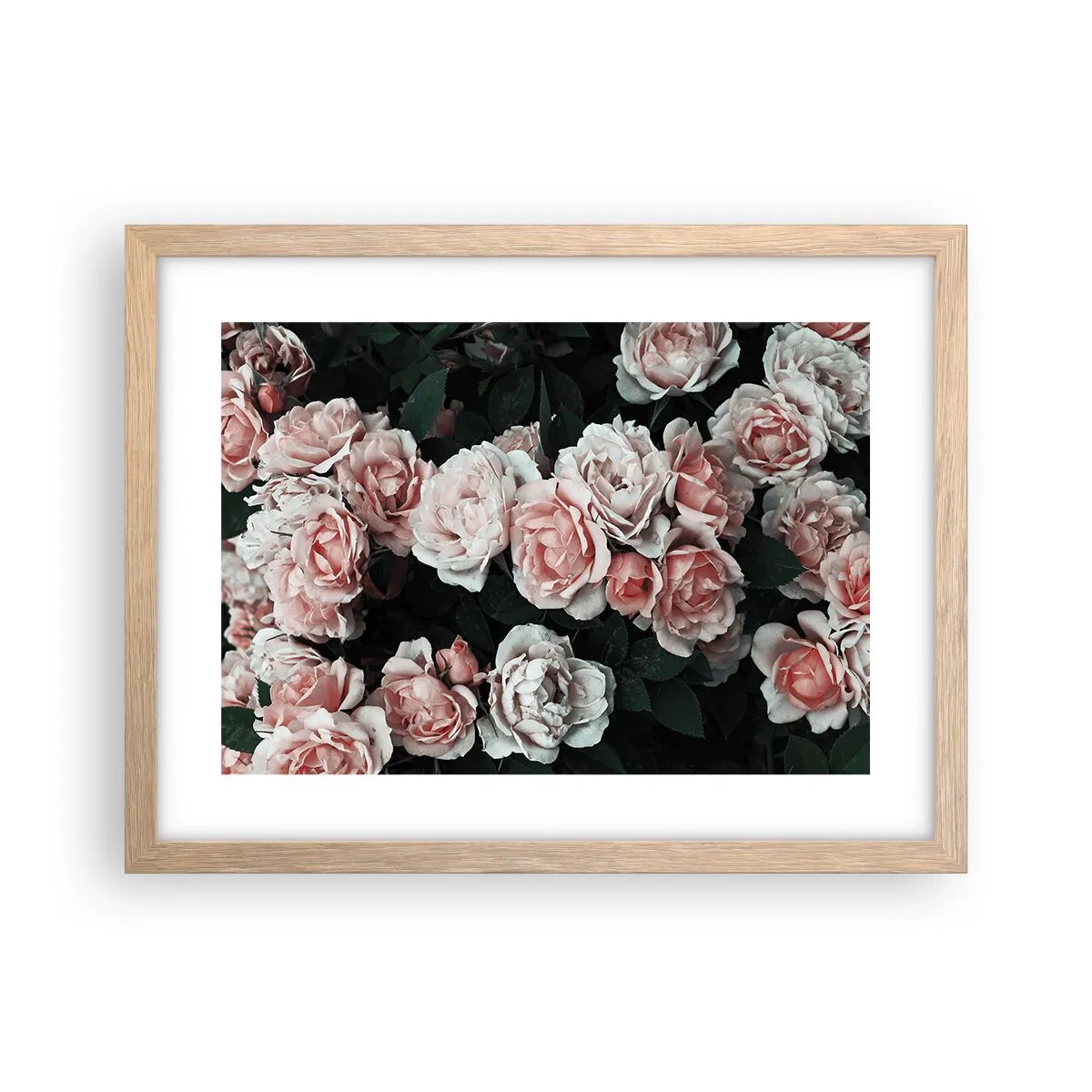 Plakat w ramie jasny dąb - Różany ansamble - 40x30 cm