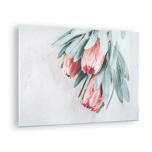 Obraz na szkle - Trzy pastelowe kwiaty protei z liśćmi na jasnym tle - 70x50cm - Zawstydzone własną urodą - Nowoczesna dekoracja ścienna do salonu i sypialni ARTTOR