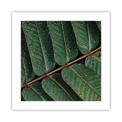 Plakat - W zielonym rytmie - 40x40 cm