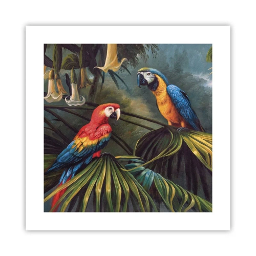 Plakat - Romantyzm w tropikach - 40x40 cm