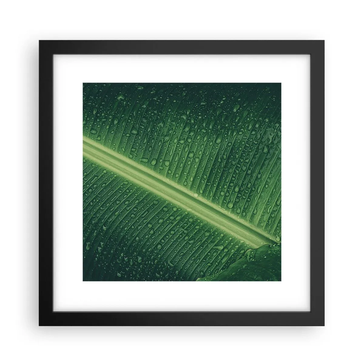 Plakat w czarnej ramie - Struktura zieleni - 30x30 cm