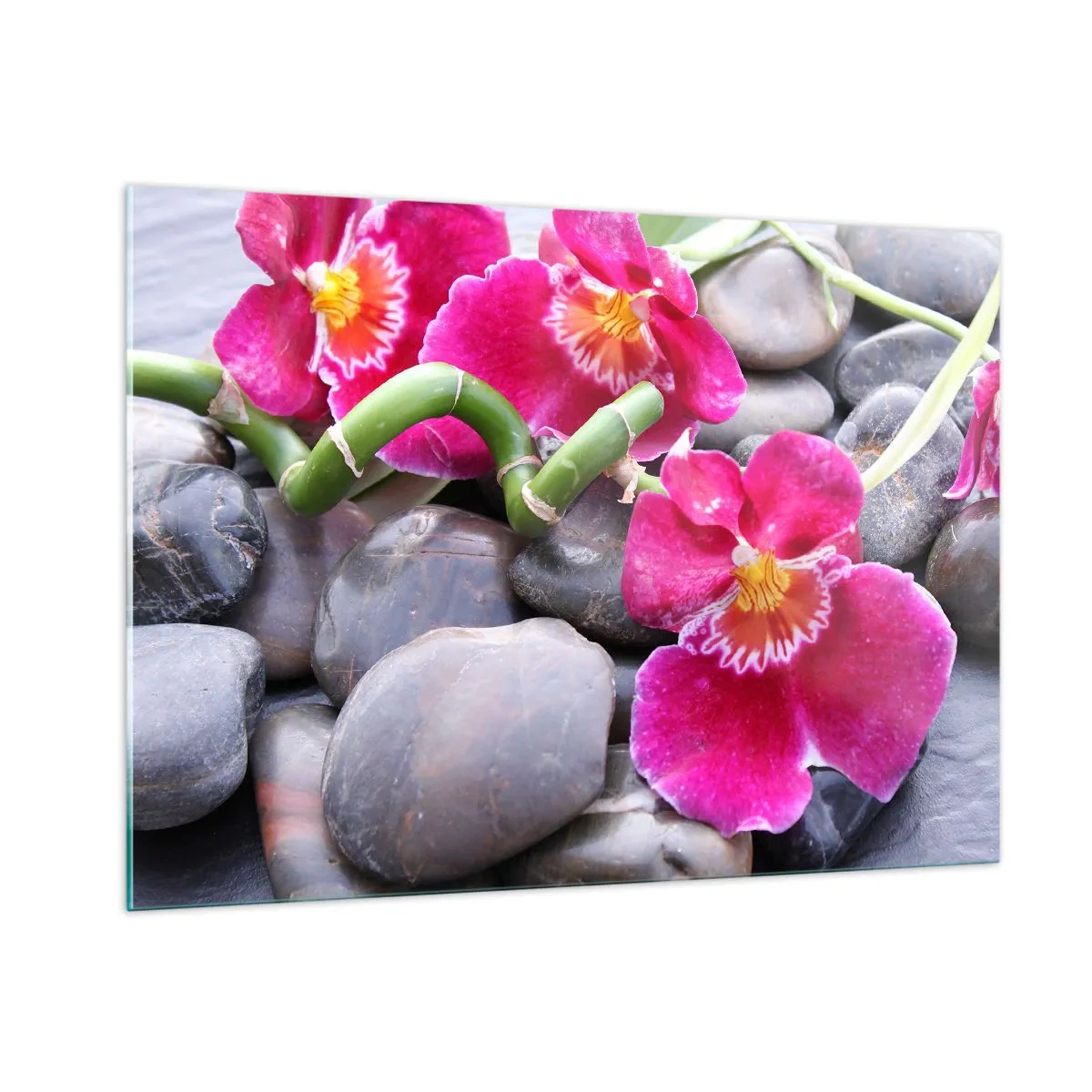 Obraz na szkle - Różowe orchidee z bambusem na kamieniach - 100x70cm - Chłód i żar - Nowoczesna dekoracja ścienna do salonu, kuchni i sypialni ARTTOR