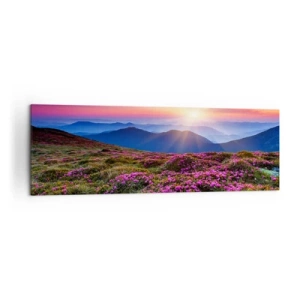 Obraz na płótnie - Górska łąka z kwiatami o zachodzie słońca - 160x50cm - Ziół zapachniały świeże pęki od niw - Nowoczesna dekoracja ścienna do salonu i sypialni ARTTOR