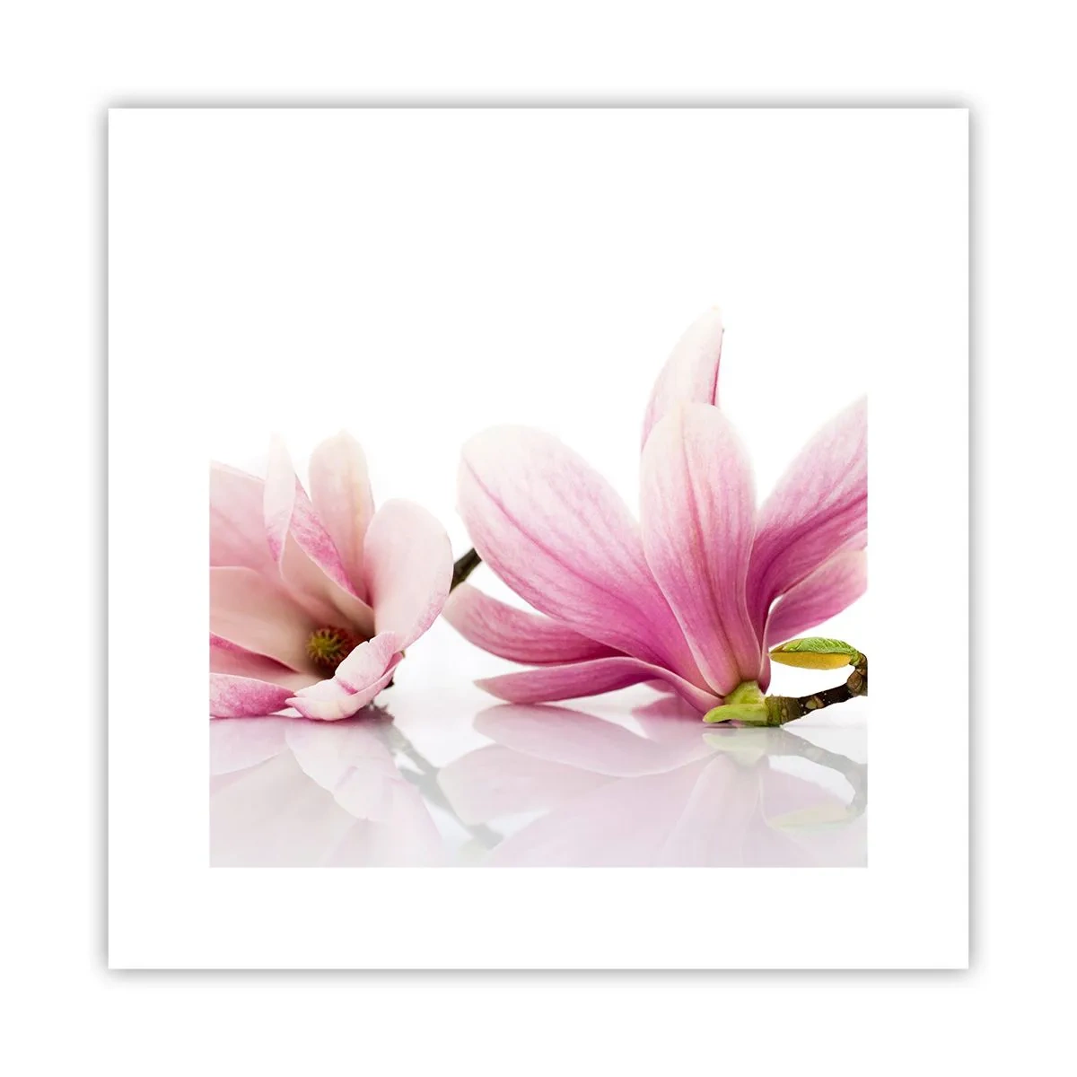 Plakat - Delikatne jak powiew wiosny - 30x30 cm