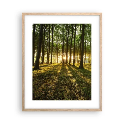 Plakat w ramie jasny dąb - Fotografia wszystkich wiosen - 40x50 cm