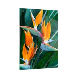 Obraz na szkle - Egzotyczne kwiaty strelicji wśród dużych zielonych liści - 50x70cm - Czy to kwiat, czy to ptak? - Nowoczesna dekoracja ścienna do salonu, kuchni i sypialni ARTTOR
