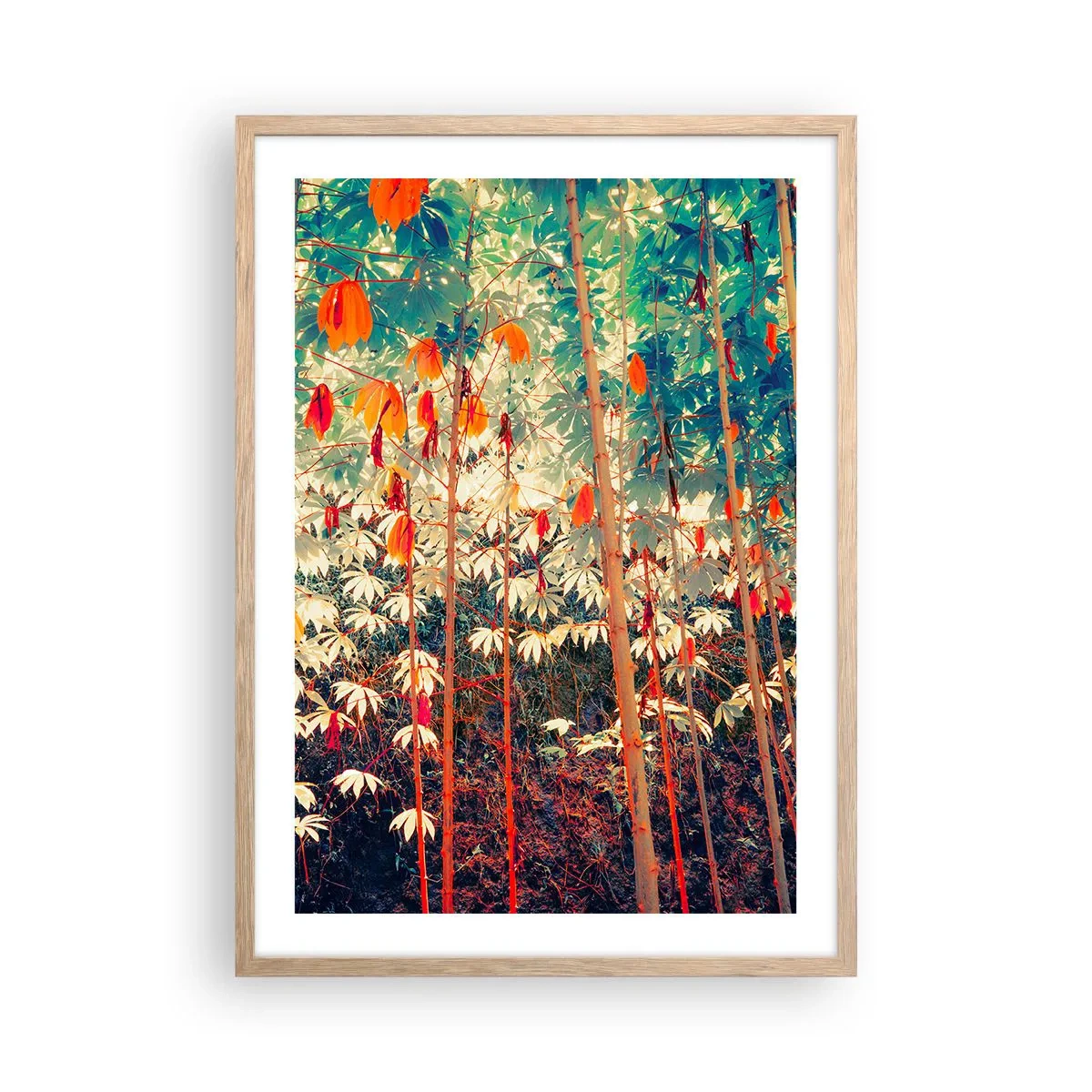 Plakat w ramie jasny dąb - Tajemne życie liści - 50x70 cm