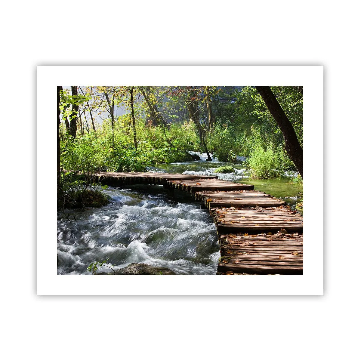 Plakat - Nad pienistą kaskadą - 50x40 cm